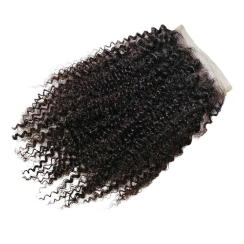 Malaysian Curl
